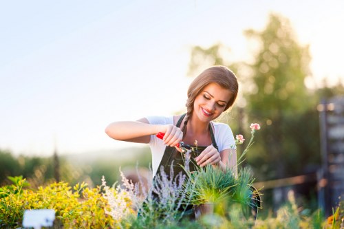 Professional hedge cutting work in a Blackwall garden