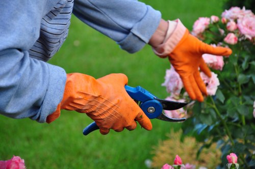 Tree surgeons assessing a Blackwall property garden for a transparent quote