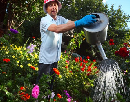 Professional pruning to reduce a tree canopy in Blackwall