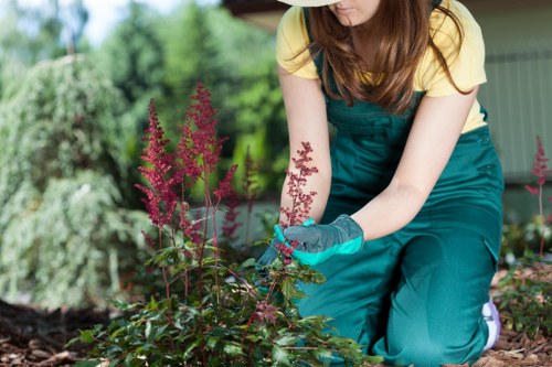 Responsible Tree Surgeons Blackwall commitment to human rights
